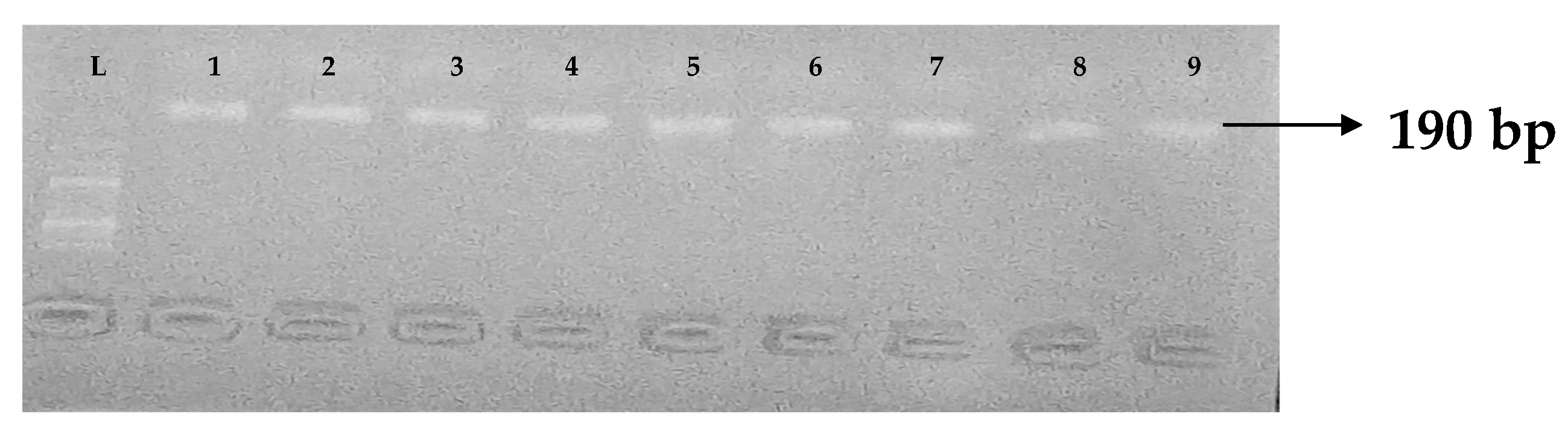 Idr 15 00034 g010 Idr 15 00034 g010