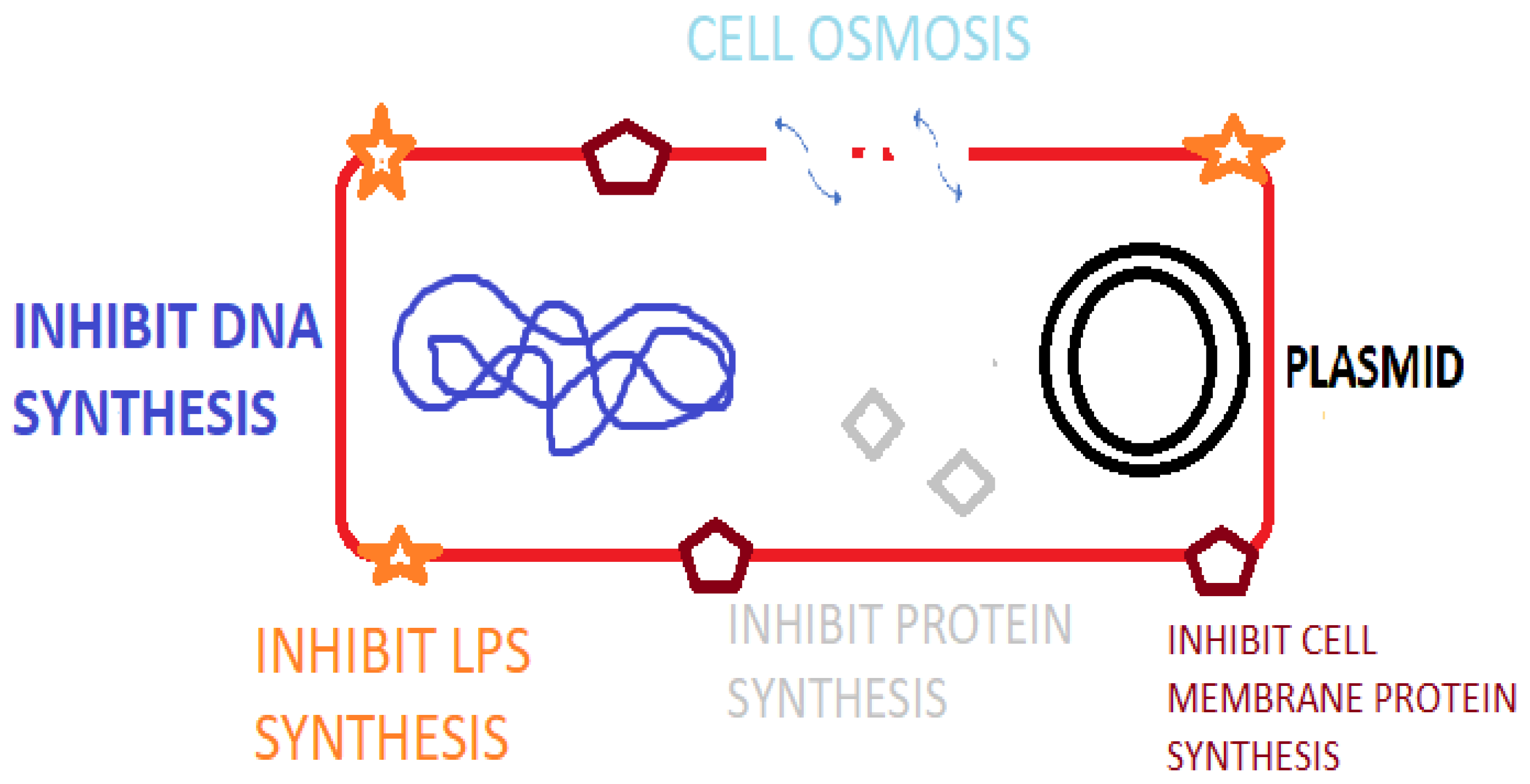 Idr 15 00046 g001 Idr 15 00046 g001