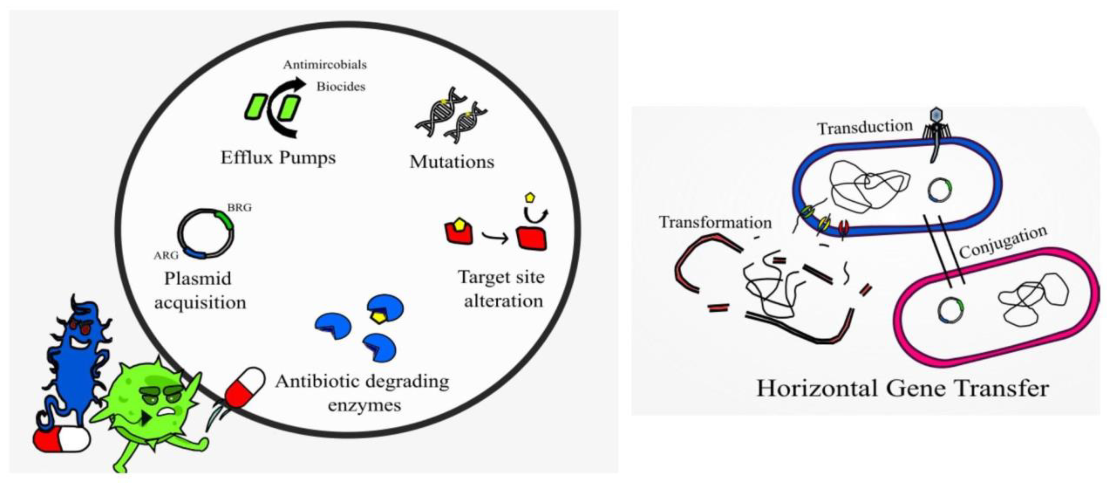 Idr 15 00046 g002 Idr 15 00046 g002