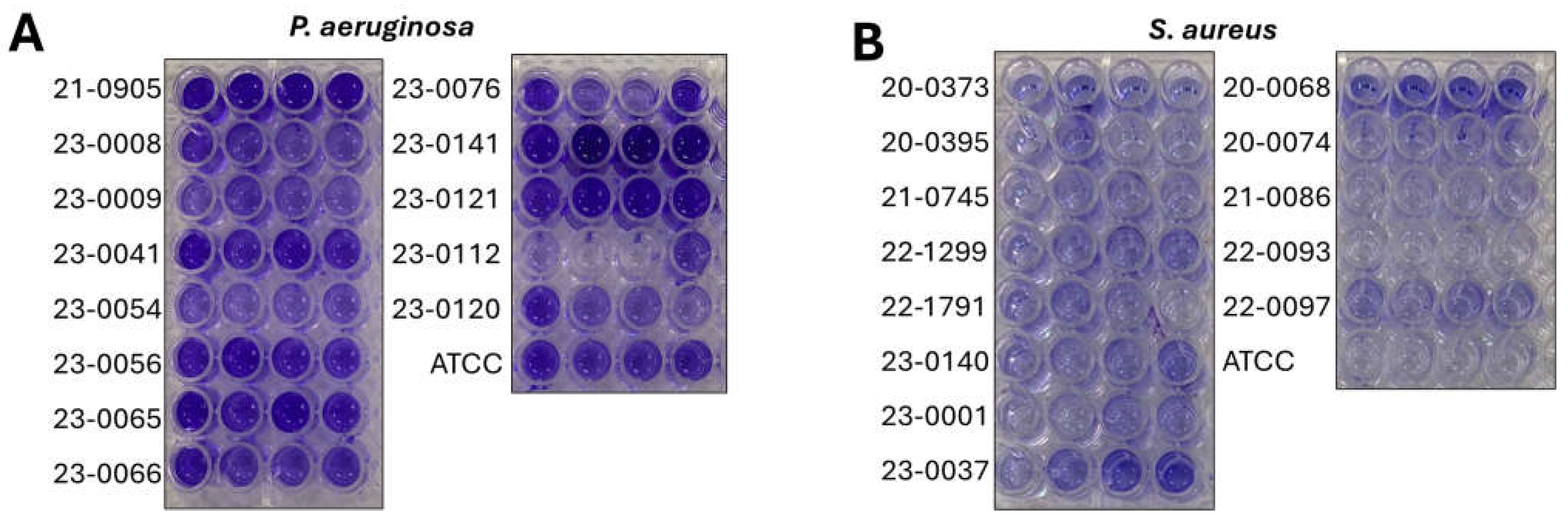 Idr 17 00098 g001 Idr 17 00098 g001