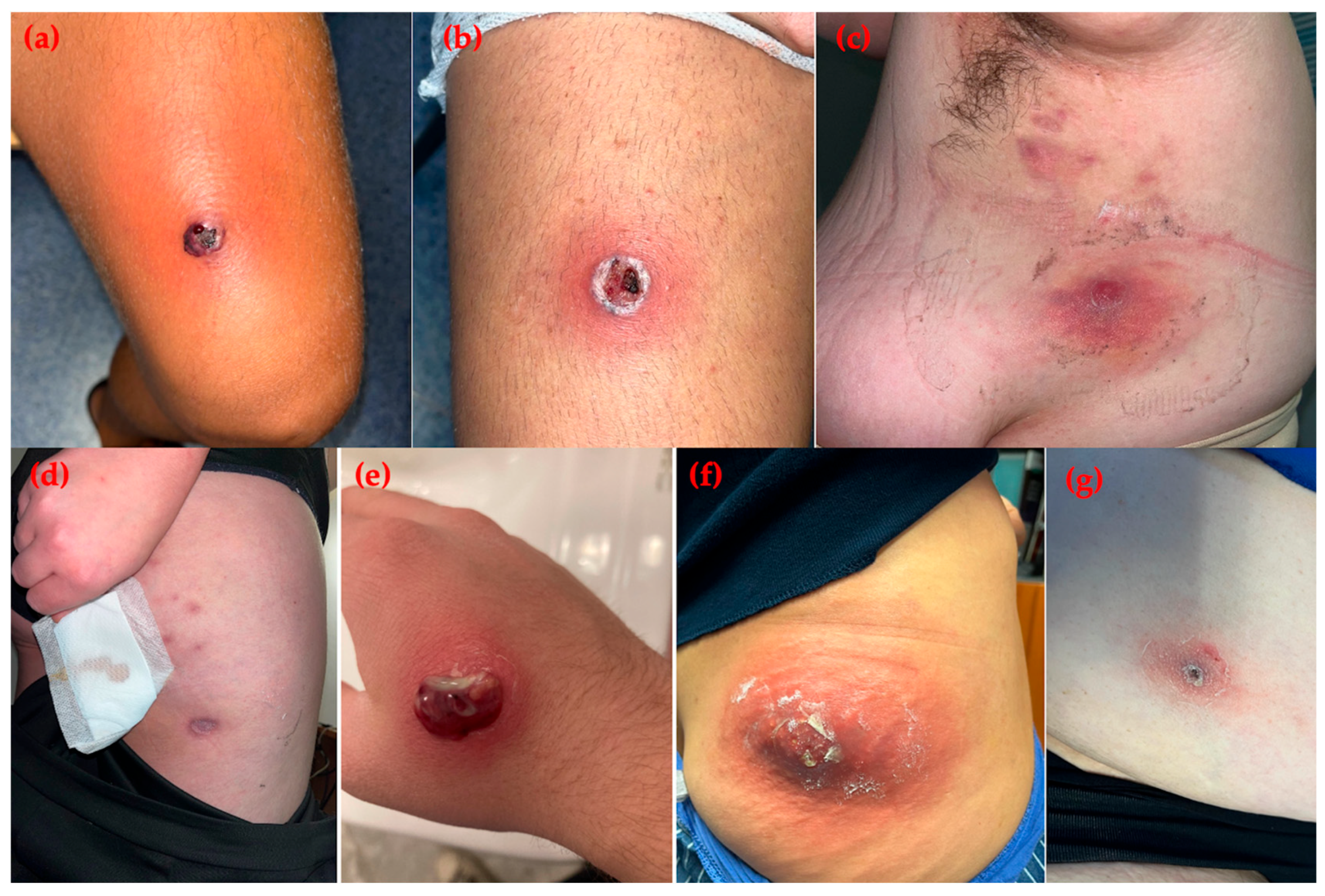 Idr 17 00137 g001 Idr 17 00137 g001