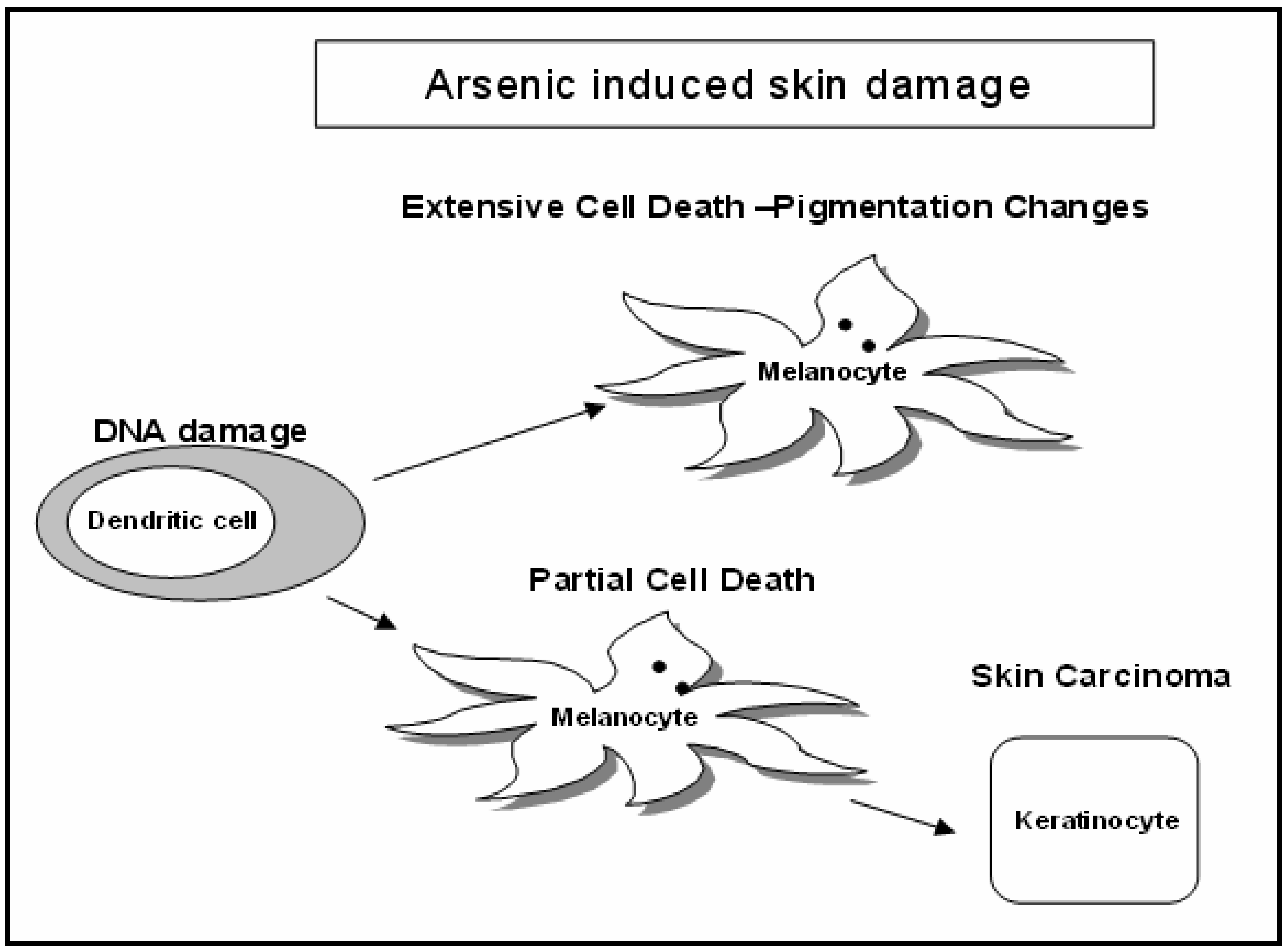 Ijerph 01 00083 g003