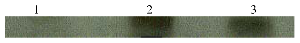 Ijerph 02 00107f2 1024