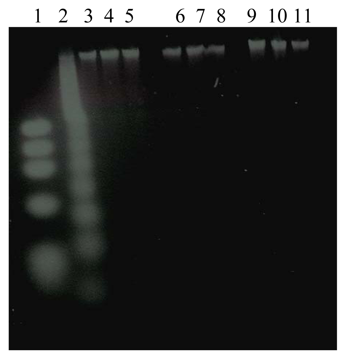 Ijerph 02 00107f3