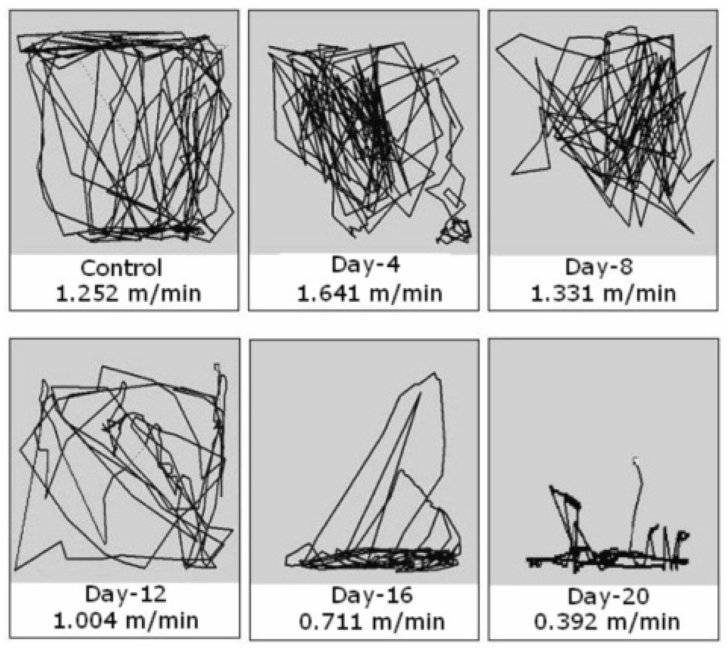 Ijerph 02 00478 g001 1024