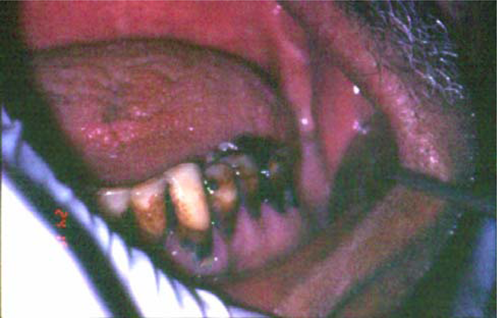 Ijerph 04 00243f1 1024