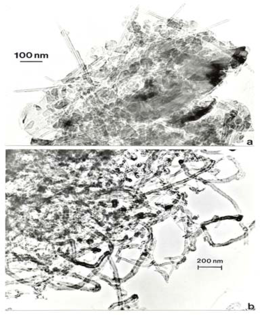 Ijerph 05 00012f15 1024