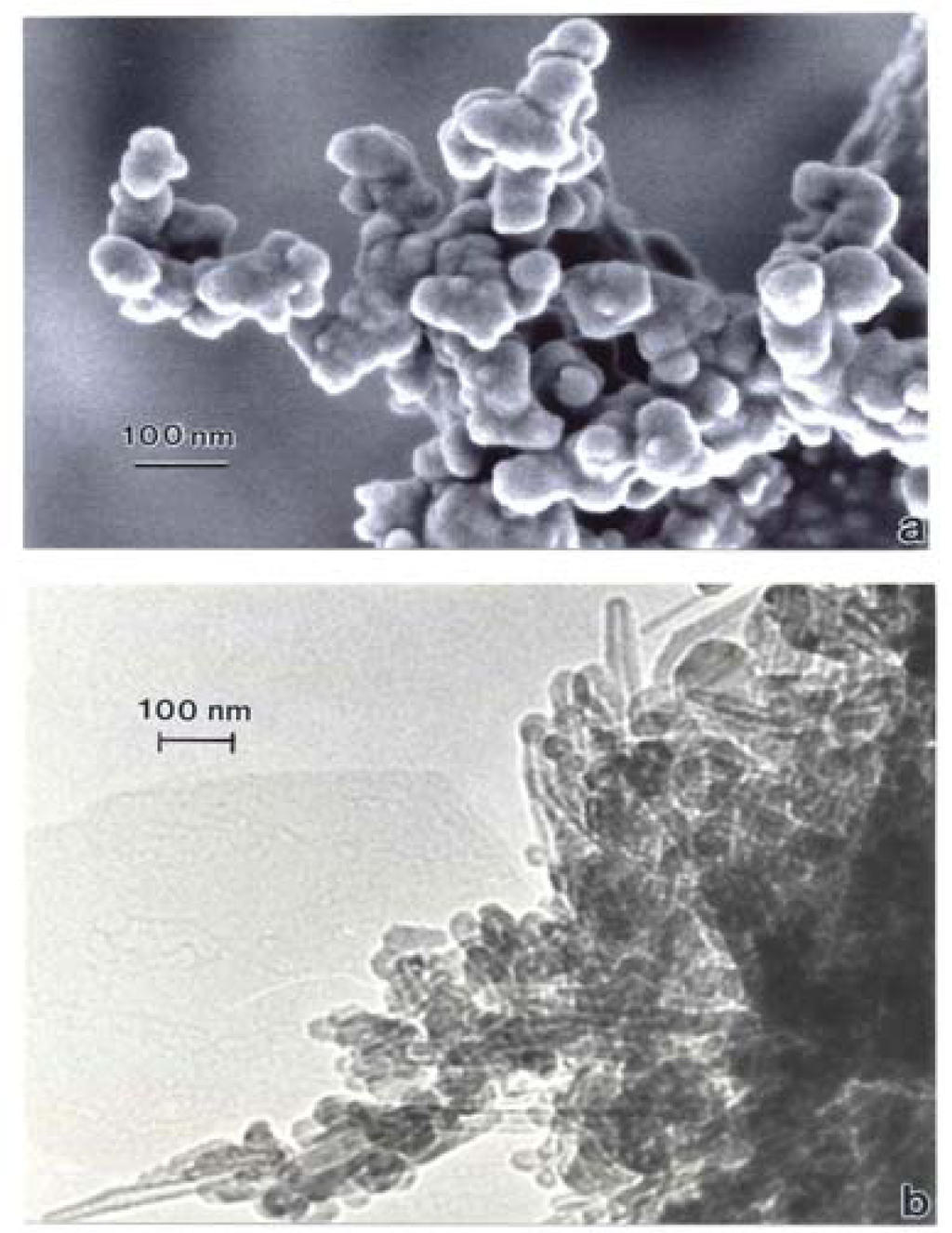 Ijerph 05 00012f17 1024