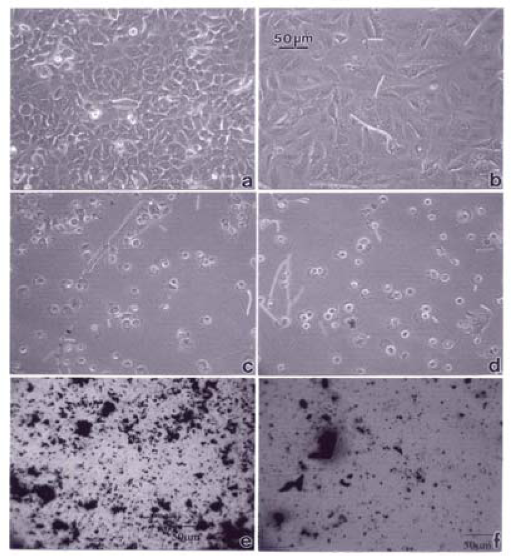 Ijerph 05 00012f6 1024