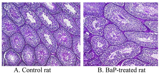 Ijerph 05 00032 g002