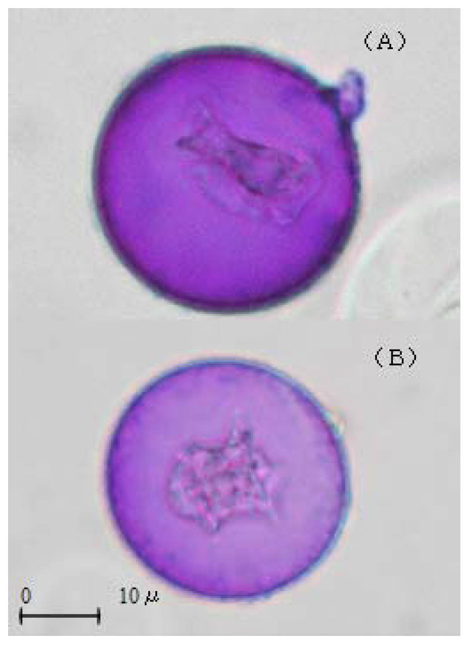 Ijerph 05 00076 g002