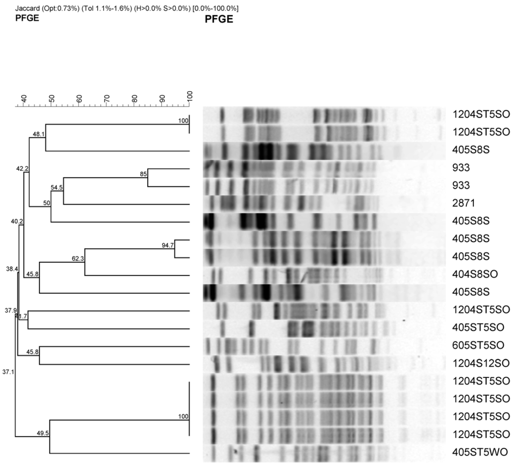 Ijerph 08 04460 g003 1024