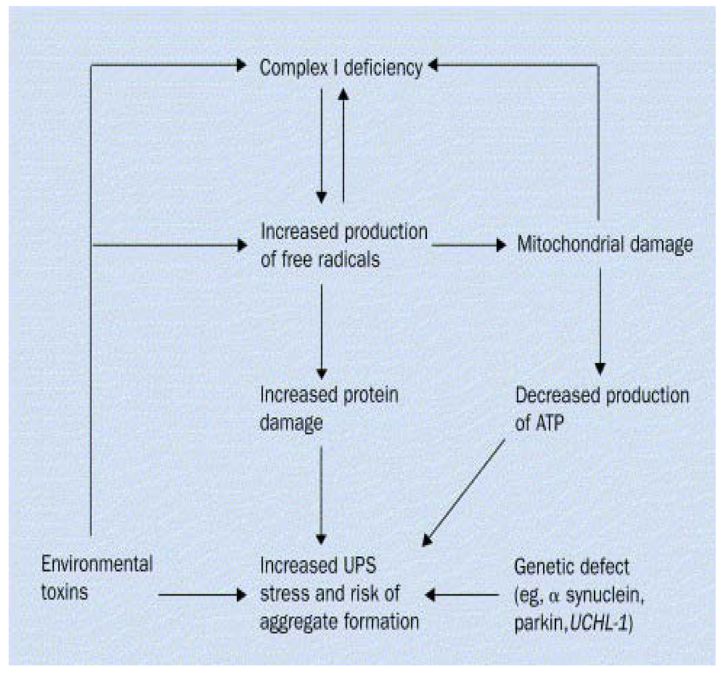 Ijerph 08 04702 g001 1024