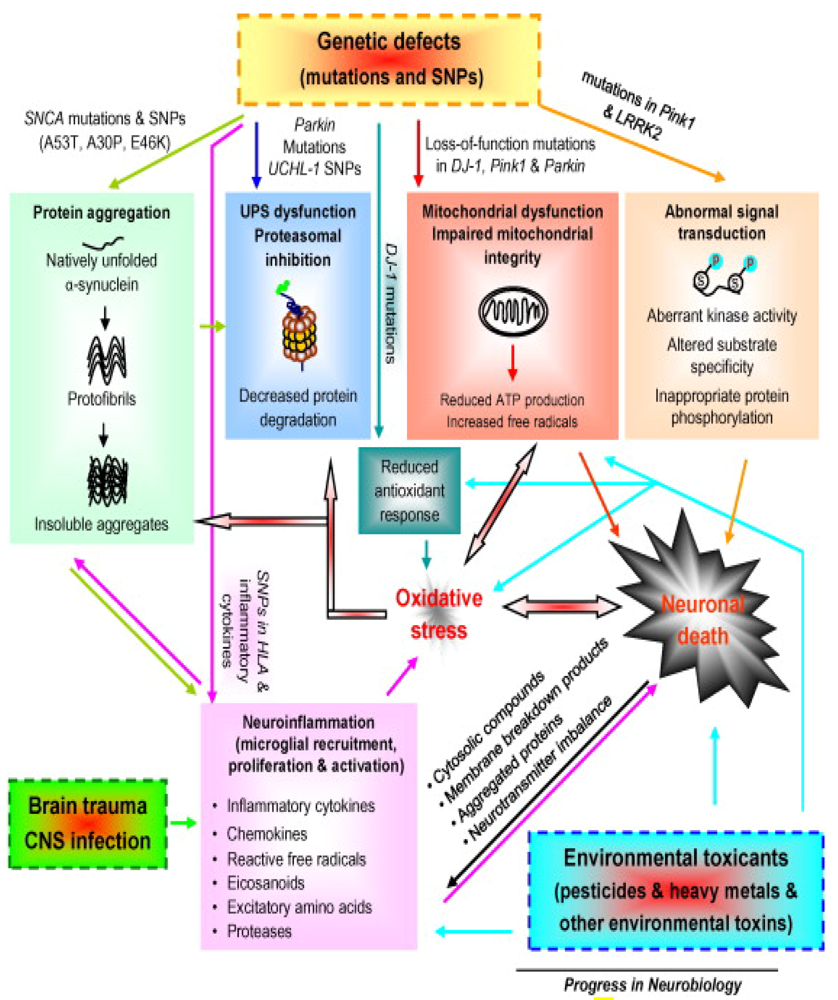 Ijerph 08 04702 g002 1024