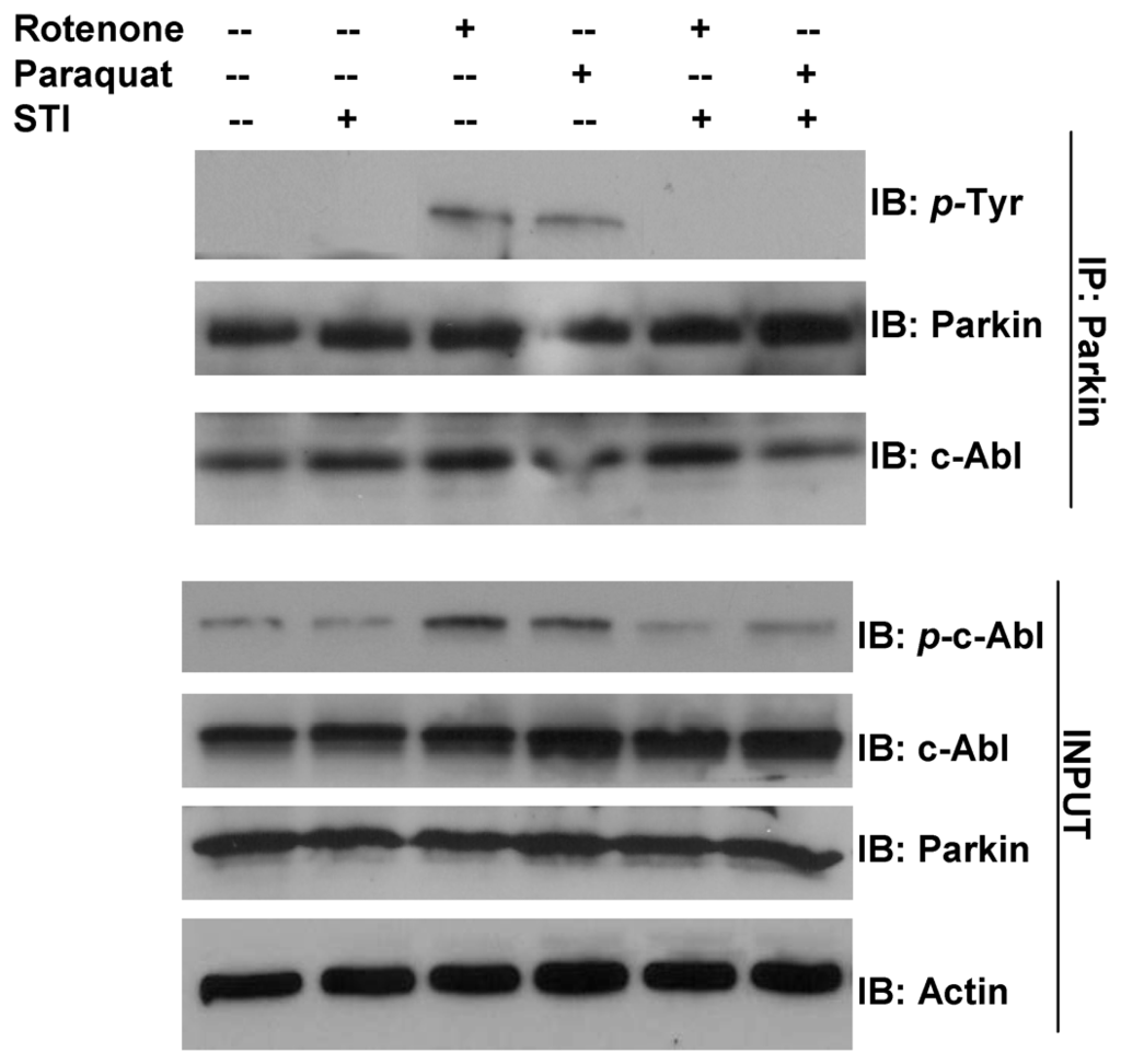 Ijerph 08 04702 g003 1024