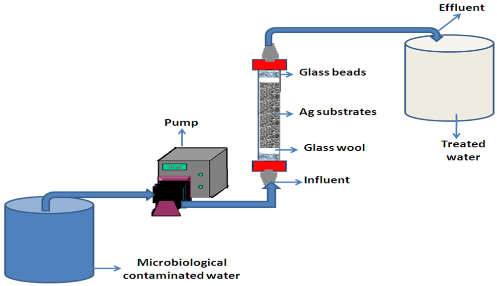 Ijerph 09 00244 g001 1024