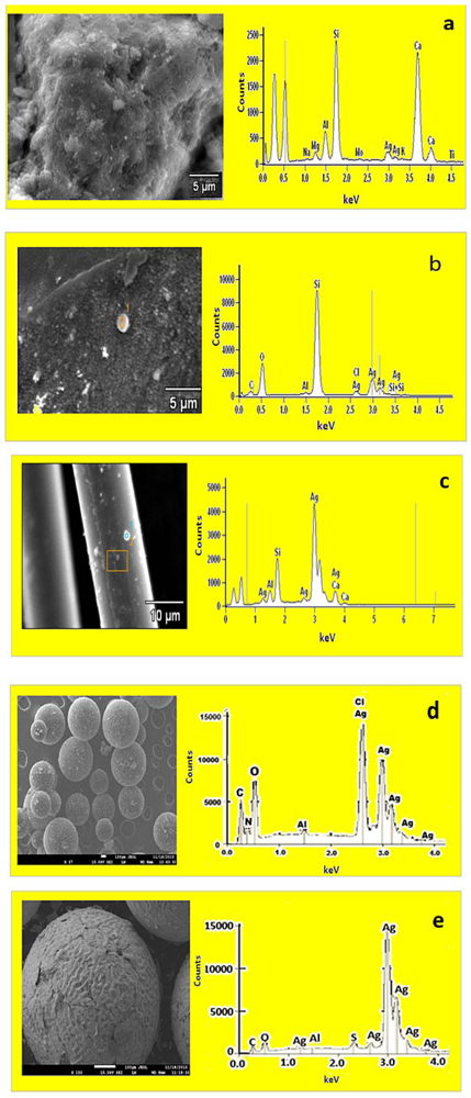 Ijerph 09 00244 g002 1024