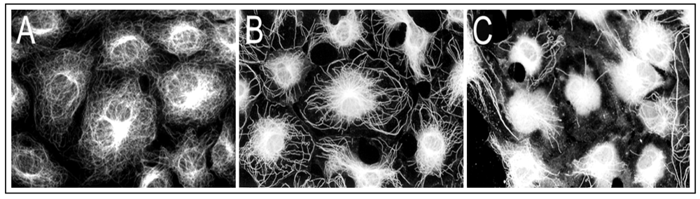 Ijerph 09 00474 g001