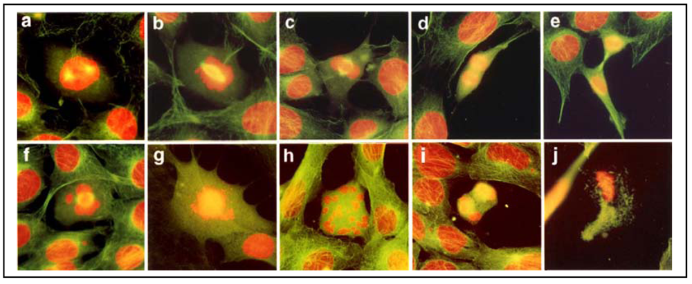 Ijerph 09 00474 g002