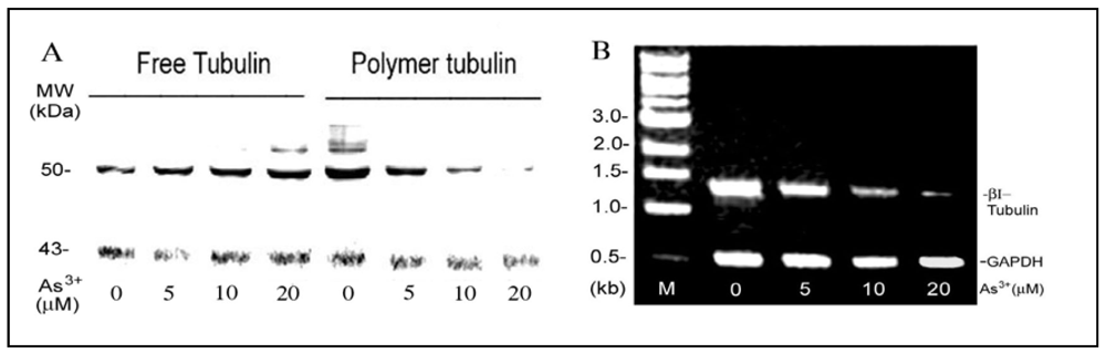 Ijerph 09 00474 g003 1024
