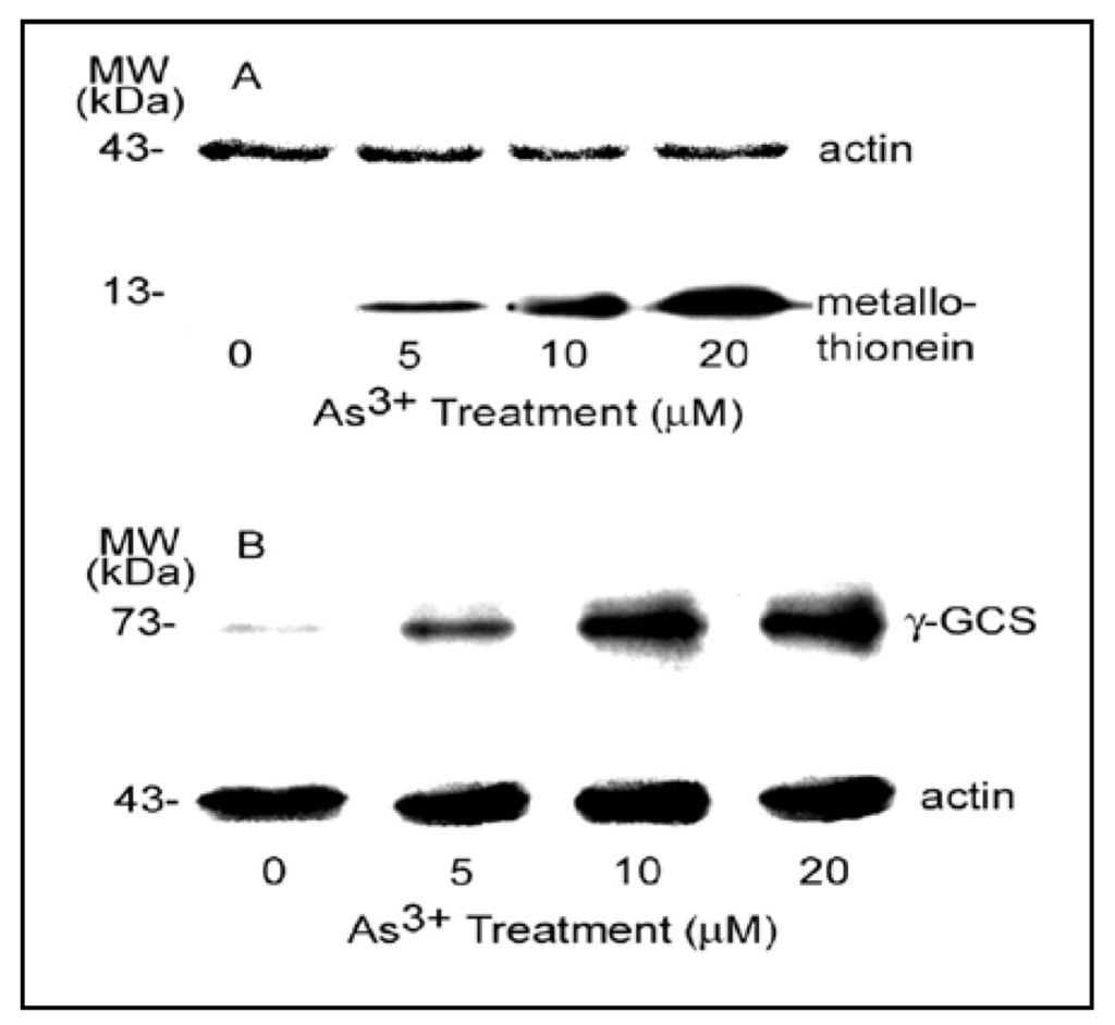 Ijerph 09 00474 g008 1024