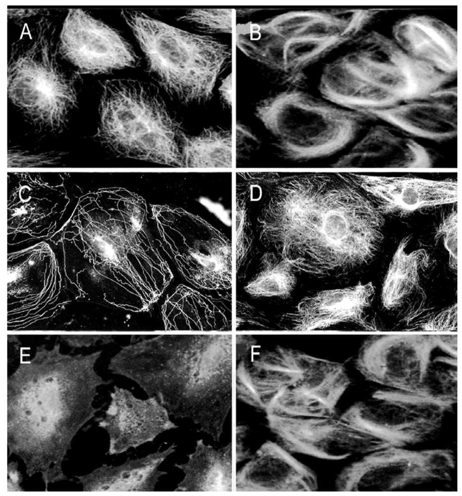 Ijerph 09 00474 g009