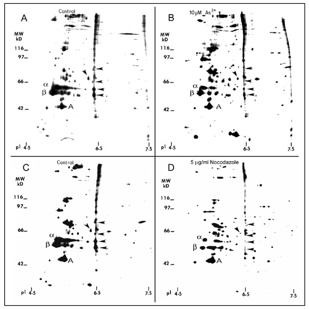 Ijerph 09 00474 g010