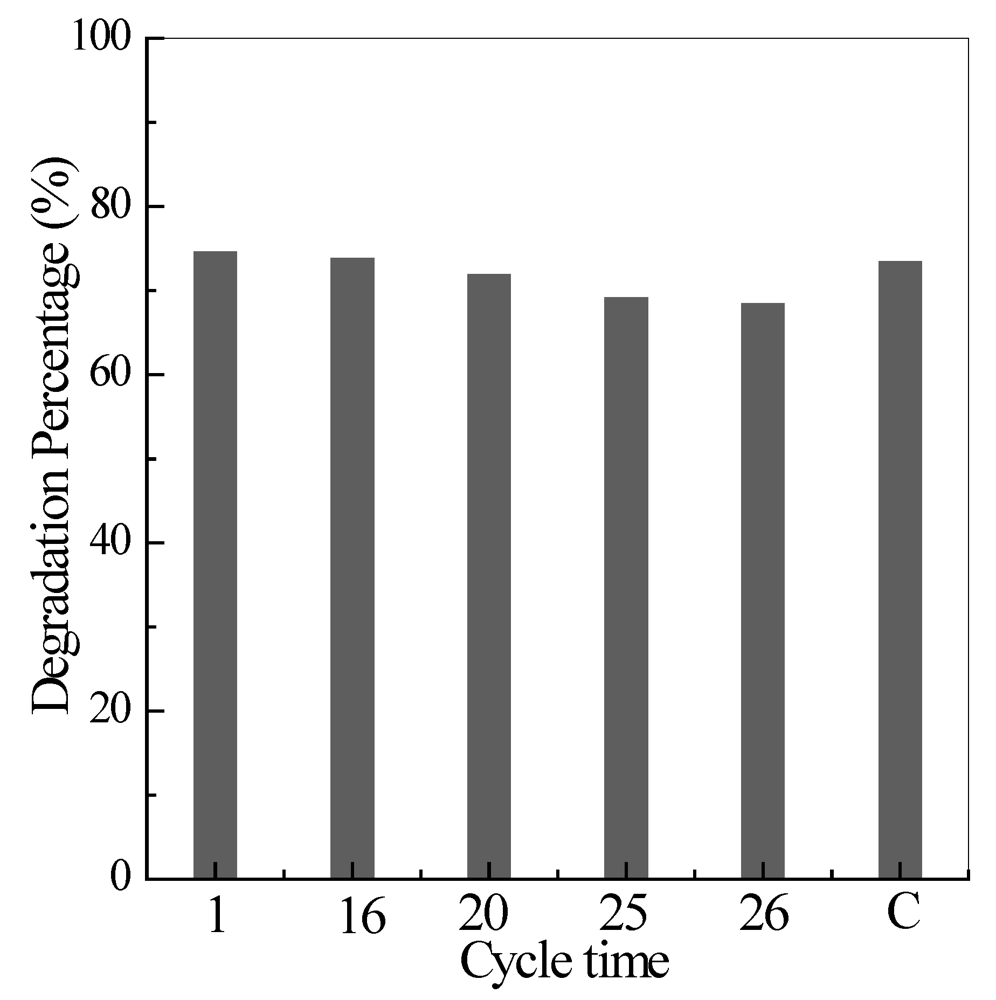 Ijerph 09 00548 g011