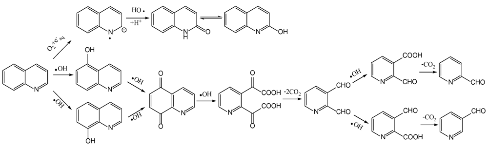 Ijerph 09 00548 g012