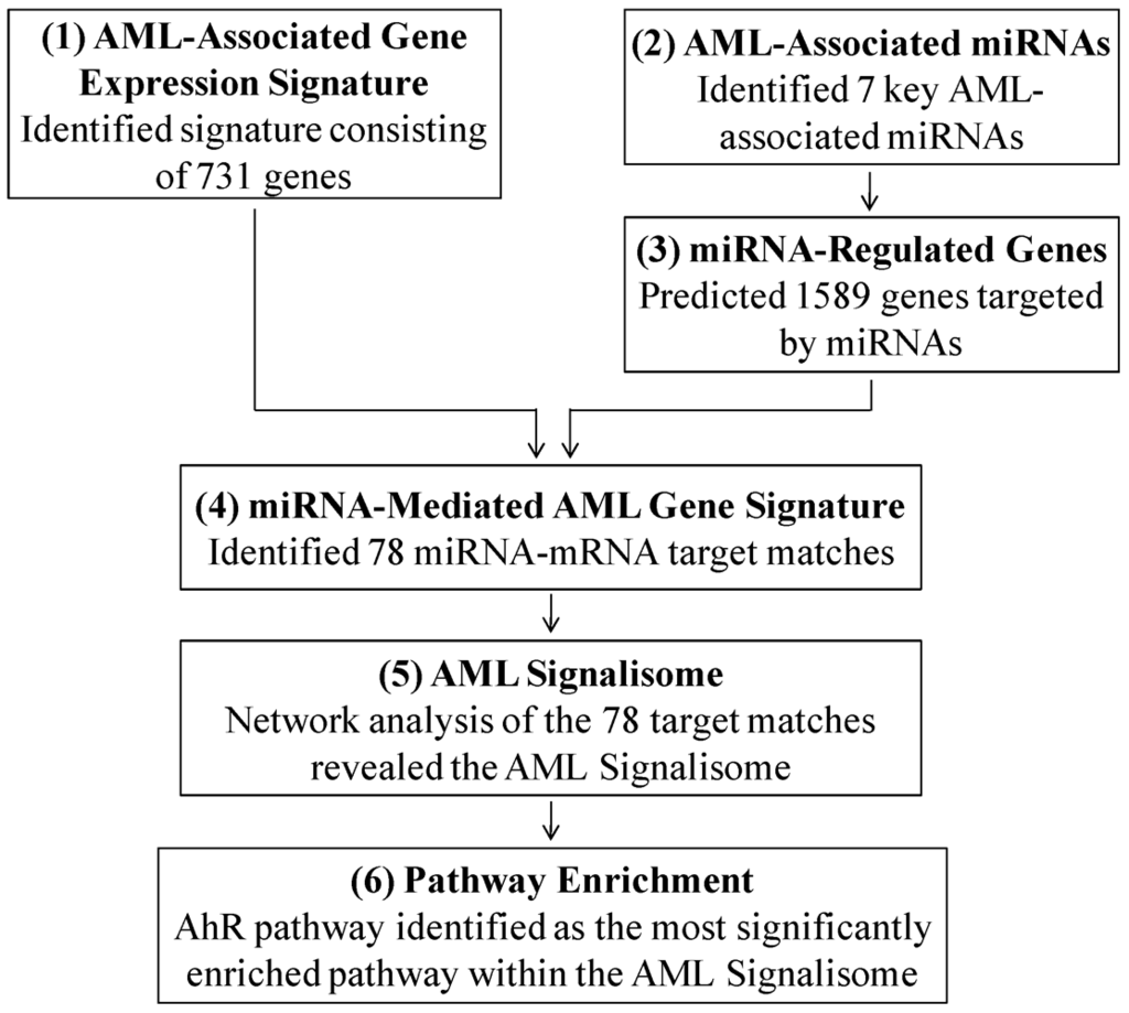 Ijerph 09 01939 g001 1024