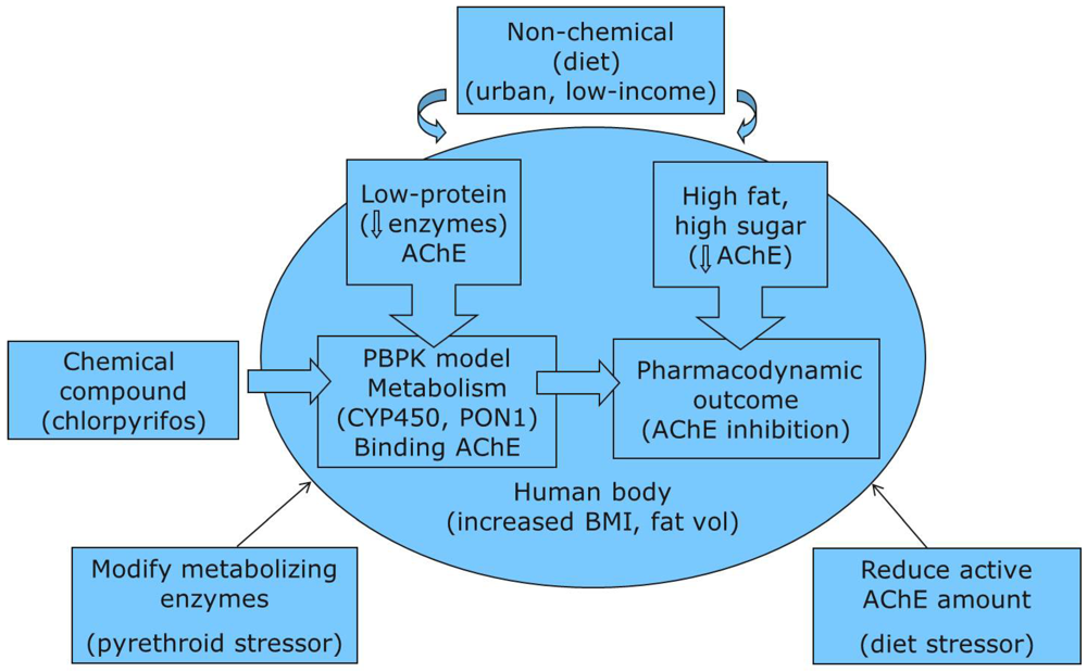 Ijerph 09 01971 g001 1024