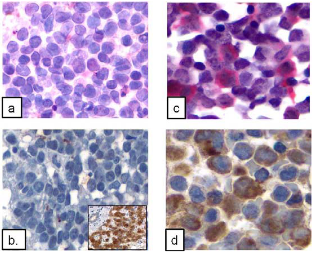 Ijerph 09 02788 g003 1024