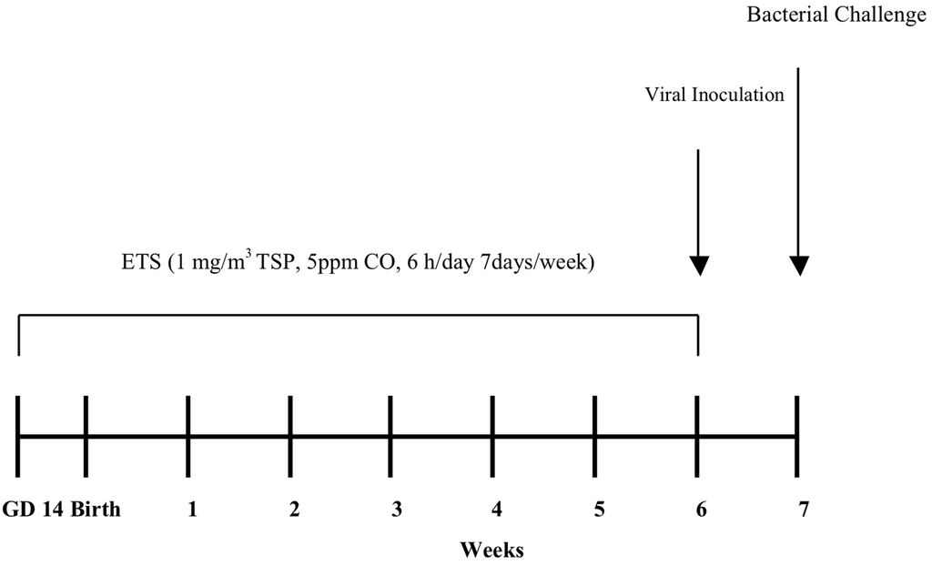 Ijerph 09 03954 g001 1024