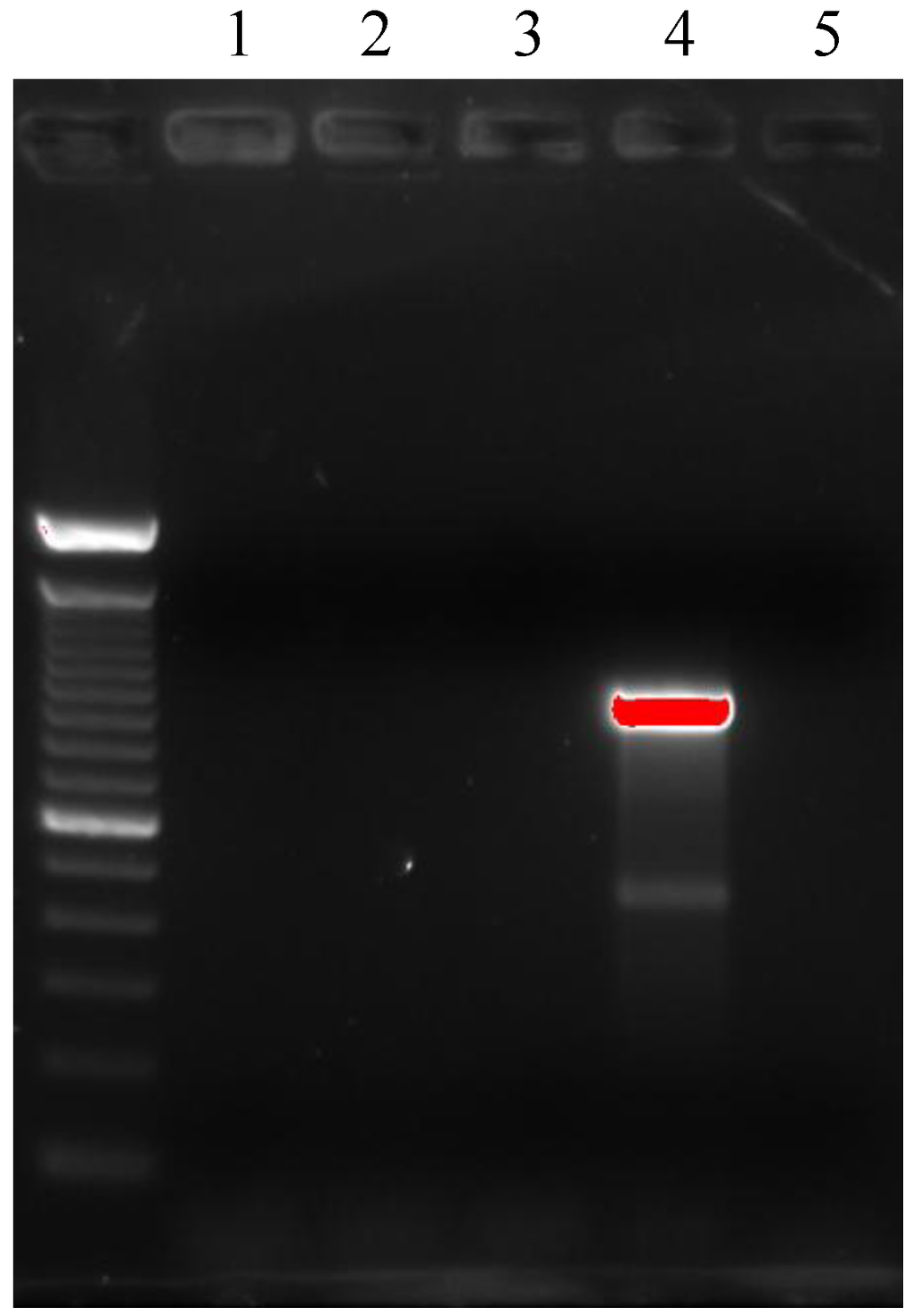 Ijerph 10 00072 g002 1024