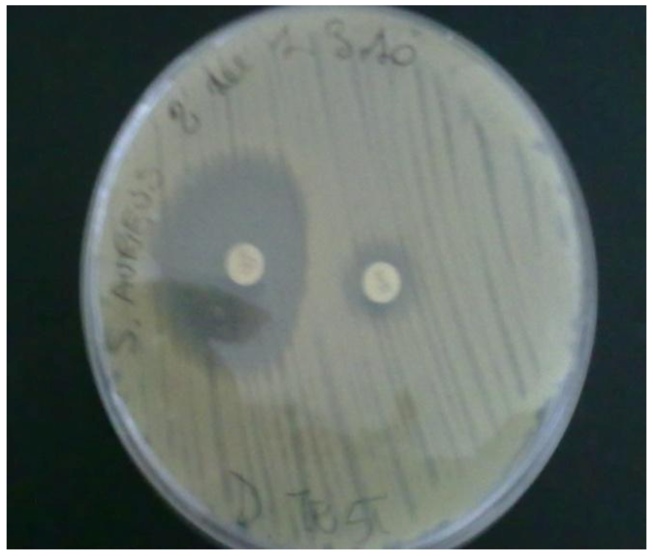 Ijerph 10 00072 g003