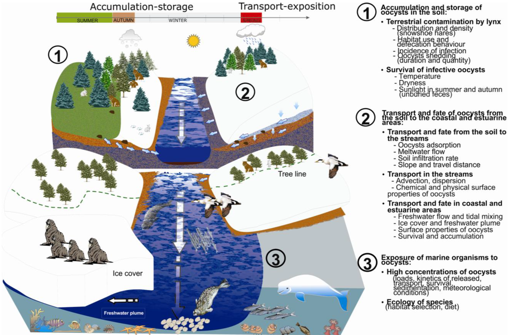 Ijerph 10 00994 g001 1024