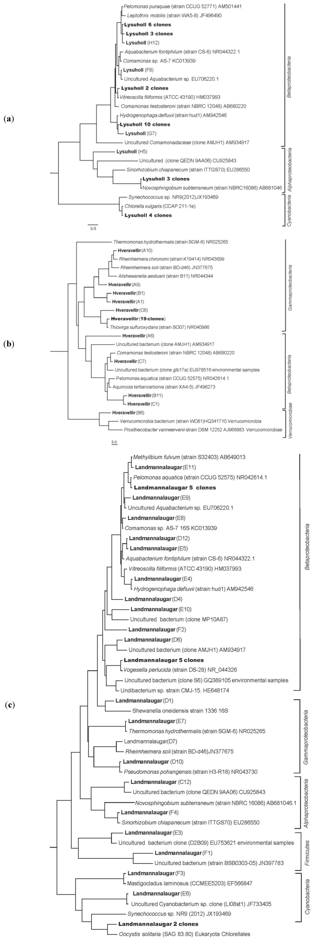 Ijerph 10 01085 g002 1024