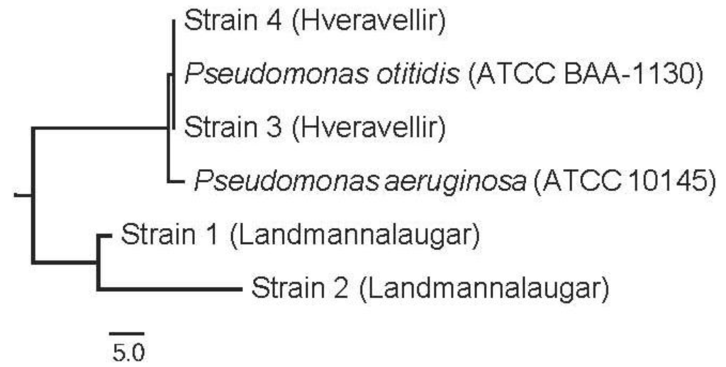 Ijerph 10 01085 g003 1024