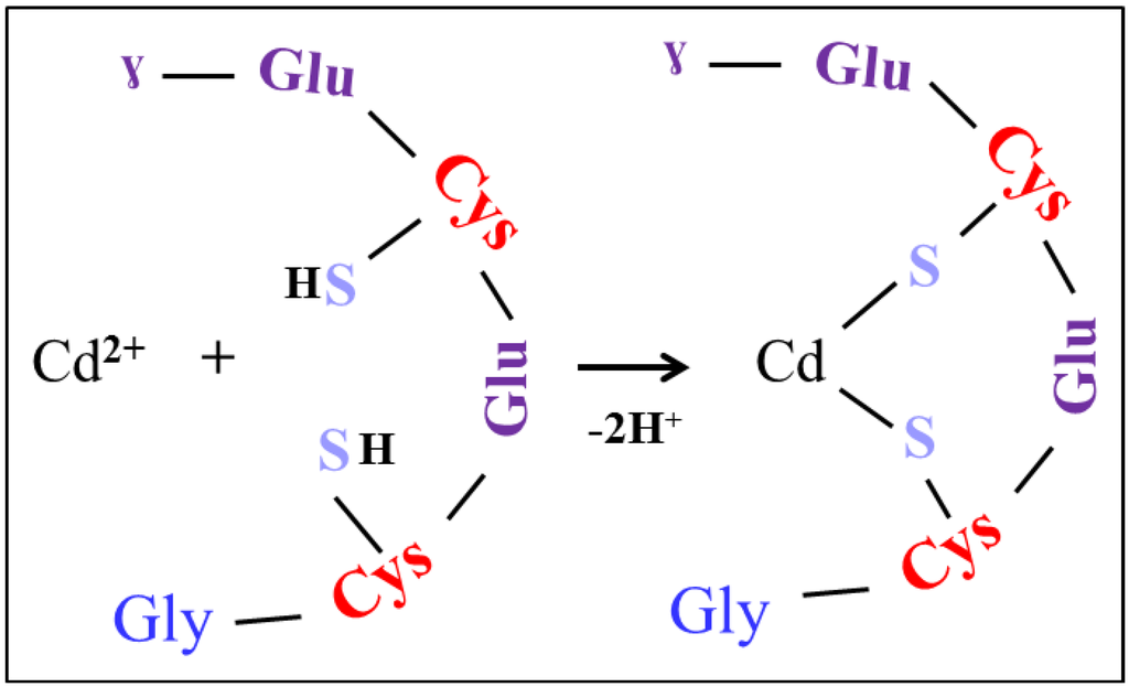 Ijerph 10 01304 g003 1024