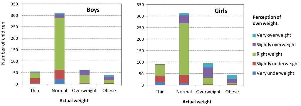 Ijerph 10 01763 g001 1024
