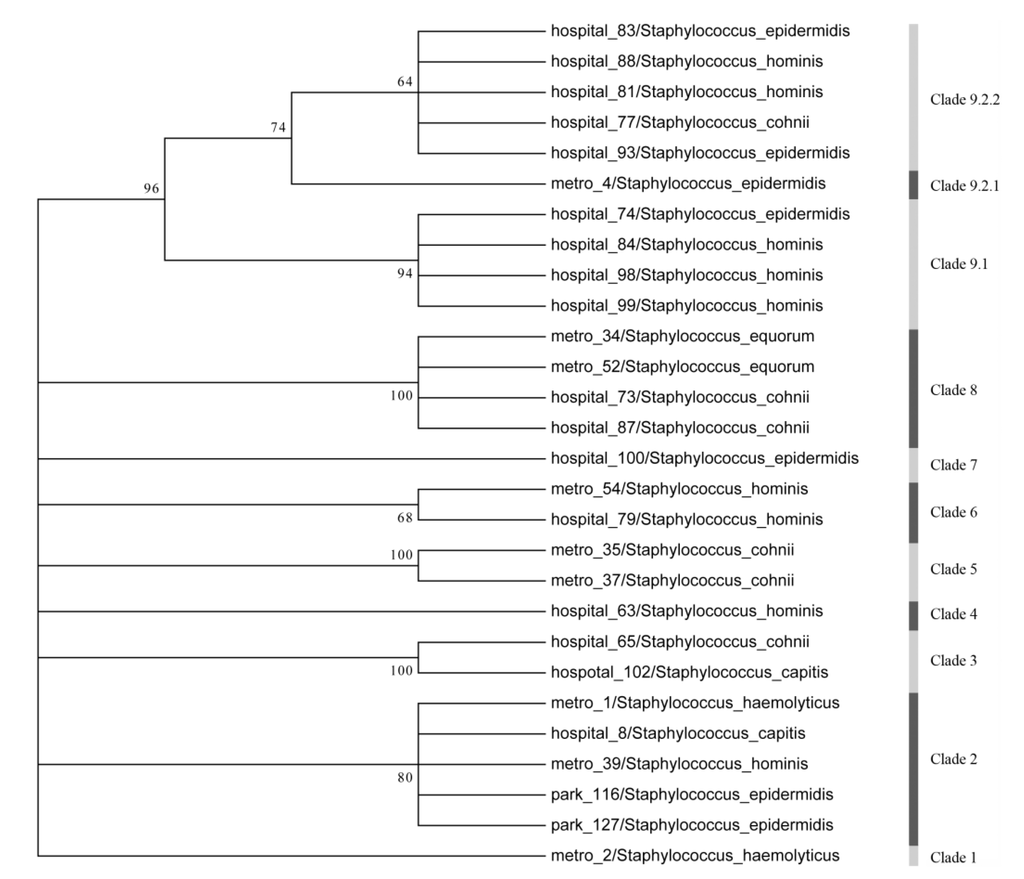 Ijerph 10 02412 g003 1024