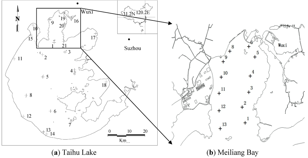 Ijerph 10 02979 g001 1024