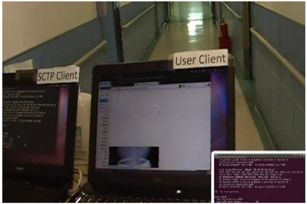 Ijerph 10 03246 g006 1024