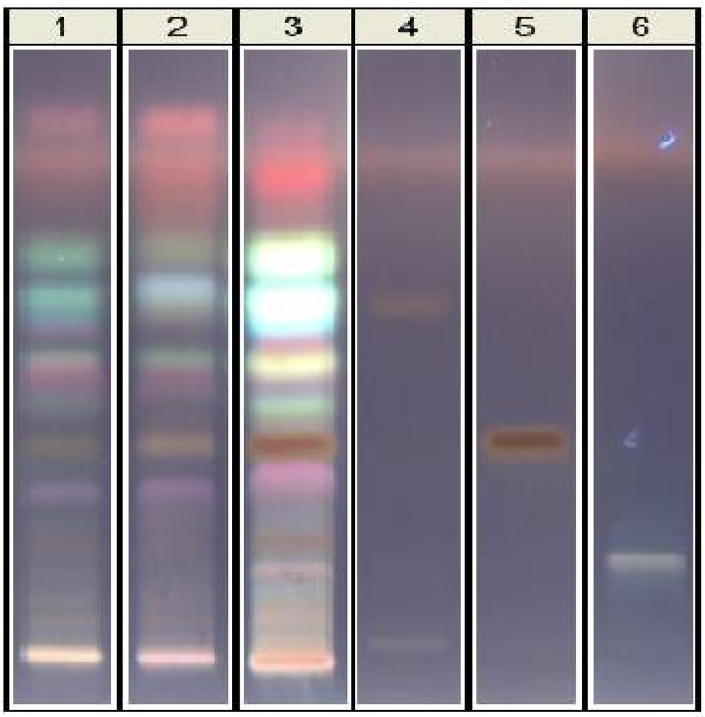 Ijerph 10 03282 g002 1024