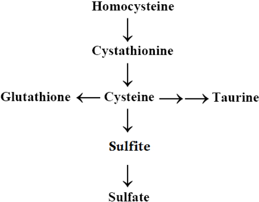 Ijerph 10 03771 g001 1024