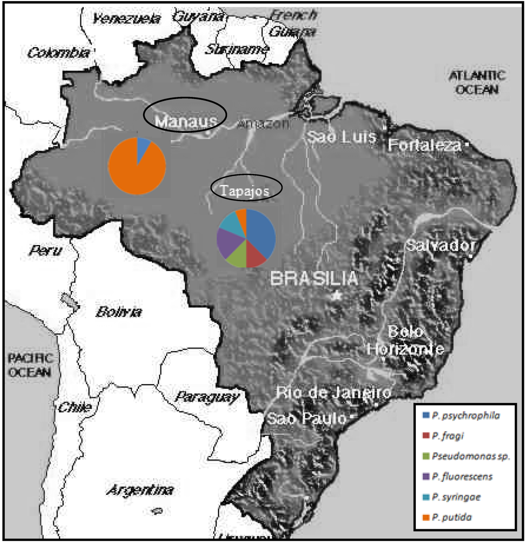 Ijerph 10 03954 g001 1024