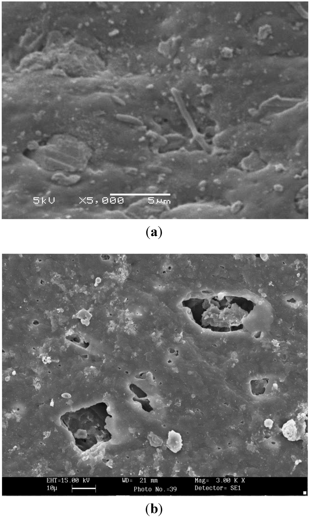 Ijerph 10 04143 g005 1024