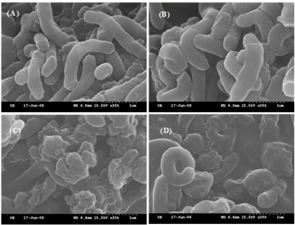 Ijerph 10 05459 g003 1024