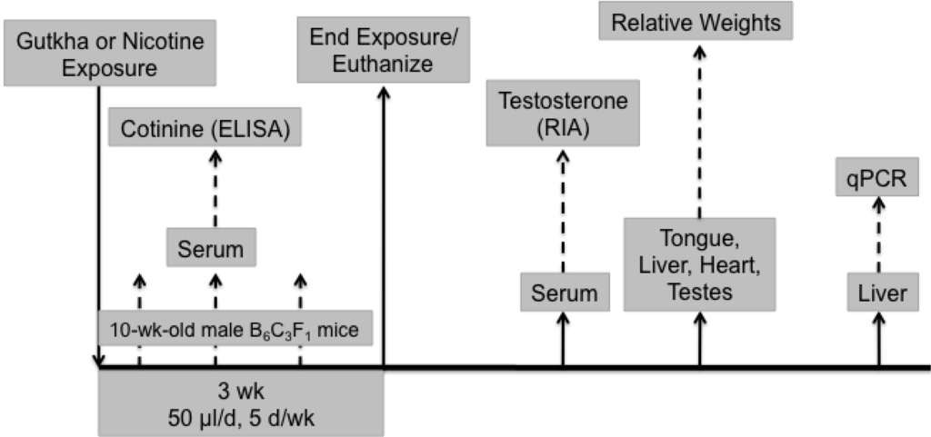 Ijerph 11 00919 g001 1024