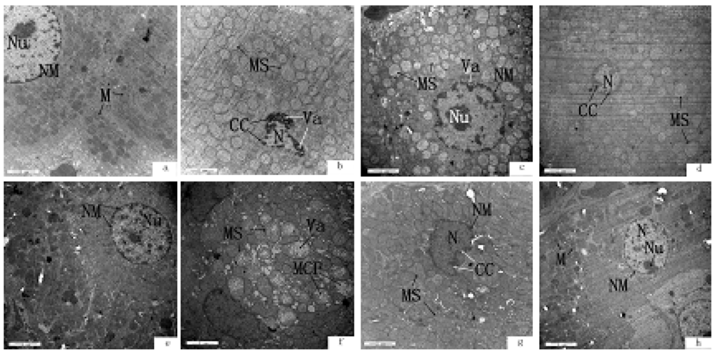 Ijerph 11 01020 g001 1024